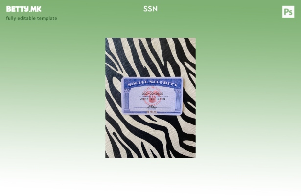 Модерен стил USA SSN photolook зебра заднина ПРЕДЕН шаблон